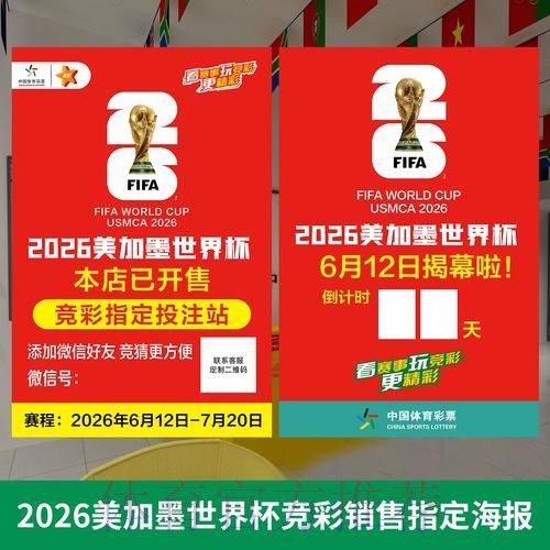 2026年世界杯投注策略全解析